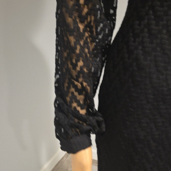 Elegant Black Lace Long Sleeve Dress - Picture 4 of 16